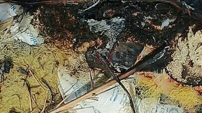 ضبط أغذية مغشوشة في حملة تفتيشية بصحة أسوان (صور)