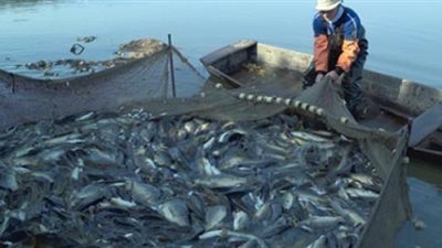 محظورات مشروع قانون صيد الأسماك الجديد