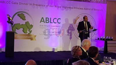 حنفي: مصر أصبحت لديها طاقة استيعابية كبيرة لرءوس الأموال