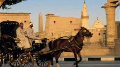 مهلة أسبوع لسائقي الحنطور بالأقصر لتوفيق أوضاعهم