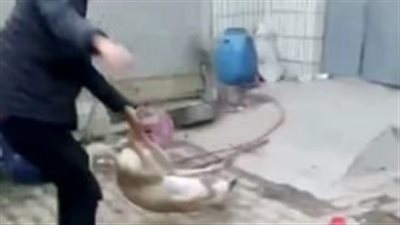 رجل يعذب كلبا حتى الموت ثم يأكله لخسارته في سباق (فيديو وصور)