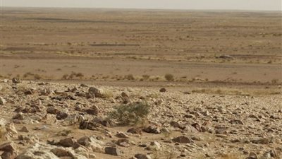 تقرير بيئي: 33% من أراضي أفريقيا تعرضت للتصحر