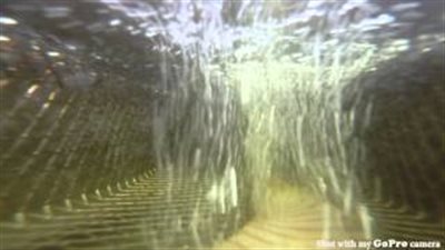 بالفيديو.. شاهد ماذا يحدث لقطعة سمك داخل مقلاة الزيت