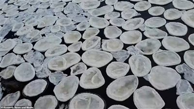 «فطائر الجليد».. ظاهرة نادرة تغطي نهرا أسكتلنديا (فيديو وصور)