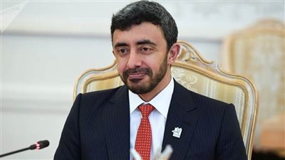 وزير خارجية الإمارات يزور الجزائر عقب مغادرة أردوغان