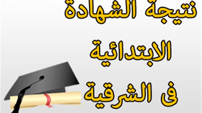 فيتو
