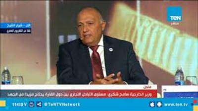 سامح شكري: زيادة التبادل التجاري بين الدول الأفريقية يحتاج إلى جهد