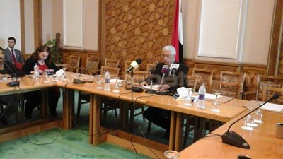 بالفيديو.. «لوزا»: 28 ألف و300 صوت للمصريين بالخارج حتى الآن