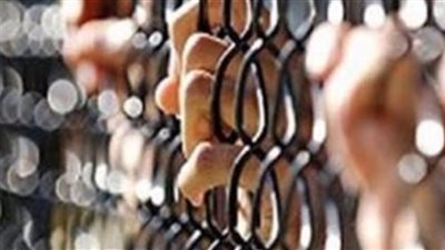 حبس 27 إرهابيًا من كوادر الإخوان في «تكوين تنظيم مسلح ضد الدولة»