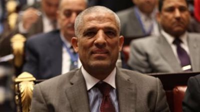 برلماني عن تطبيق الحكومة للقانون: «بخ»