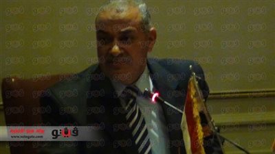 12 جنيهًا سعر كيلو الدواجن بالمزارع