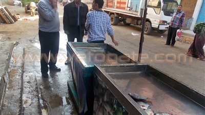 بالصور.. لجنة لفحص تراخيص محال 