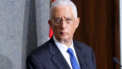 «لوزة»: السعودية احتلت المرتبة الأولى في تصويت المصريين بالخارج