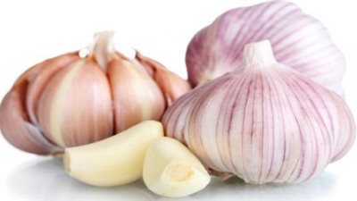 باحثون دنماركيون: الثوم يحارب البكتيريا