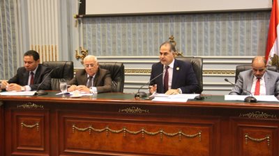 وكيل البرلمان يطالب بتشكيل لجنة من الثروة السمكية لحل مشكلة مثلث بورسعيد