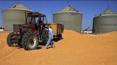 140 ألفا و817 طن قمح في صومعة غلال ميناء دمياط