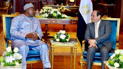 تفاصيل يوم رئاسي.. السيسي يؤكد حرص القاهرة على تعزيز التعاون مع جامبيا.. تطلع مصر لاستكشاف مزيد من مجالات التعاون مع البنك الآسيوي للاستثمار في البنية التحتية.. ويشيد بجهود الكوميسا