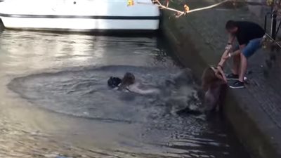 نهاية مروعة لفتاتين أثناء التنزه مع أصدقائهما (فيديو)