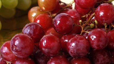 7 أطعمة تشفي البنكرياس وتحسن الهضم وتقي من السكري