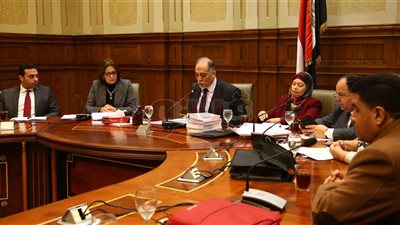 «تضامن النواب»: يحق لذوي الإعاقة الجمع بين معاشين