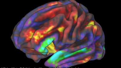شاهد ما يحدث لأدمغة أطفالك عند تعرضهم للهواتف الذكية (فيديو وصور)