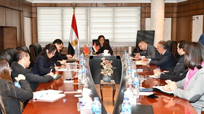 وزيرة التخطيط تبحث مع سفير الصين بالقاهرة أوجه التعاون بصندوق مصر السيادي