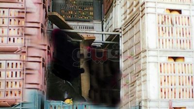 الجمارك توقف تصديرا وهميا لبضاعة مرفوضة بالإسكندرية