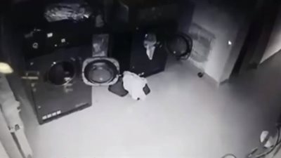 لقطات صادمة لرجل يعتدى على امرأة بالضرب المبرح ( فيديو)