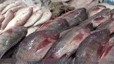 أسعار الأسماك اليوم 11/ 12/ 2018.. والبلطي يسجل 23 جنيها للكيلو
