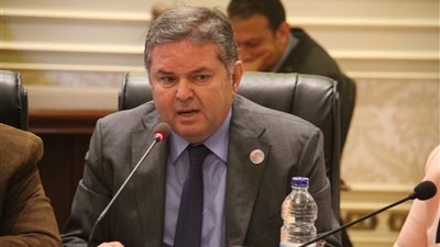 وزير قطاع الأعمال: نسعى لتسويق منتجاتنا في أفريقيا