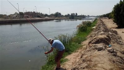 500 ألف جنيه غرامة والحبس سنة عقوبة الصيد المخالف بالقانون الجديد