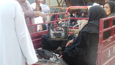 سوق الإثنين بقنا.. خزين «الغلابة».. وقبلة المواطنين لمحاربة الغلاء (صور)