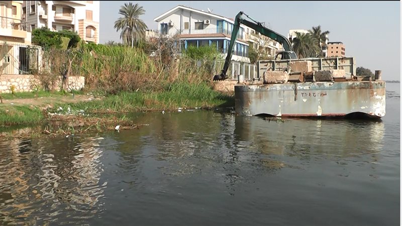 فيتو