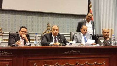 «زراعة البرلمان»: عدم تحديد سعر عادل للمحاصيل مخالفة دستورية