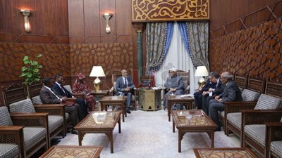 «الطيب»: الأزهر يولي دول أفريقيا اهتمامًا كبيرًا في جميع المجالات