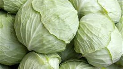 الكرنب يحمي من السرطان وأمراض القلب