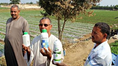 «غش الأدوية والمبيدات عيني عينك».. مافيا النصب توقع الفلاحين في فخها.. عمليات تدوير للدواء منتهي الصلاحية.. تلاعب بالمادة الفعالة.. والزراعة تعترف: ضبط 123 طن مواد مغشوشة