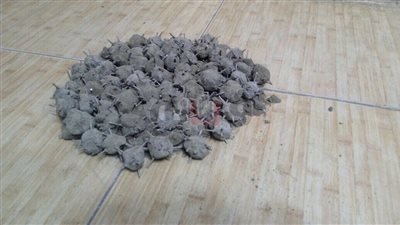 تشديدات أمنية عقب رصد مخطط لنشر الفوضى.. الأمن الوطني يرصد تحركات خلايا الإخوان للتحريض على العنف.. الجماعة تستغل قرار ترامب لتنظيم تظاهرات تخريبية من المساجد