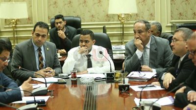 «شباب النواب» تواصل جلسات الاستماع بشأن قانون الرياضة