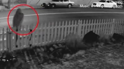 صاحب منزل يلقن لصا درسا لن ينساه (فيديو)