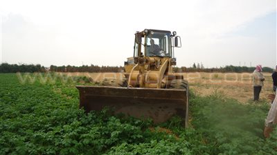 بالفيديو والصور.. إزالة 352 مخالفة بالقنطرة شرق