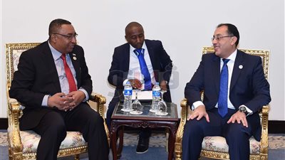 «مدبولي» يلتقي نائب رئيس جمهورية جزر القمر بشرم الشيخ (صور)