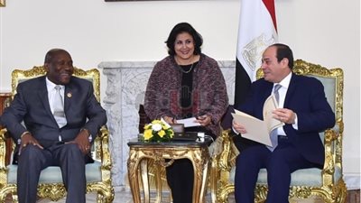 تفاصيل مباحثات السيسي ونائب رئيس كوت ديفوار