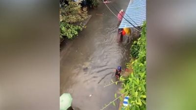 أهالي مدينة فيتنامية يصيدون الأسماك من الشوارع (فيديو)