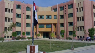 تعليم دمياط يخصص الحصة الأولى للحديث عن قضية فلسطين