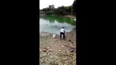 بالفيديو.. آلاف الأسماك تخرج إلى الشاطيء وتتصارع من أجل الطعام