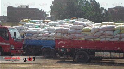 توريد 325 ألف طن قمح بشون بالبحيرة
