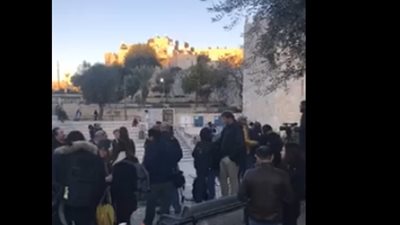 نائب في الكنيست الإسرائيلي: ترامب وجه صفعة لكل العرب (فيديو)