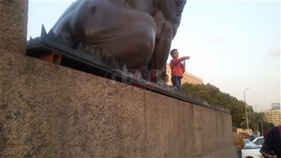 أنياب أسود قصر النيل فشلت في حمايتها من عبث المواطنين (صور)