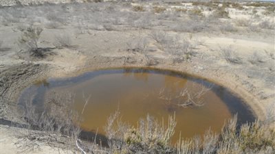 نقص مياه الري يدخل يومه الـ 50 والفلاحون بالدقهلية معرضون للسجن